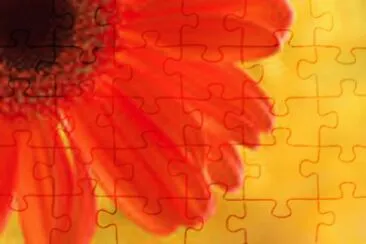 flower jigsaw puzzle