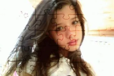  jigsaw puzzle