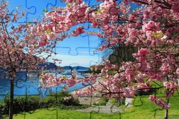 Primavera jigsaw puzzle