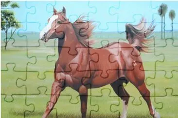 228. jigsaw puzzle