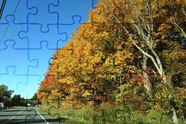 Fall 2014 Vermont jigsaw puzzle