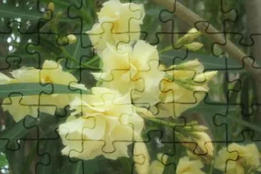 Fleurs jigsaw puzzle