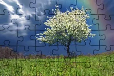 Rainbow jigsaw puzzle