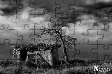 2 jigsaw puzzle