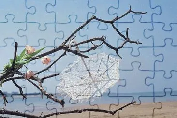 5 jigsaw puzzle