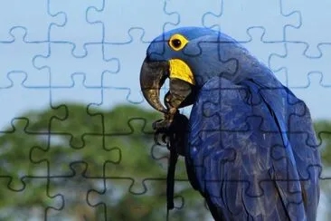 112 jigsaw puzzle