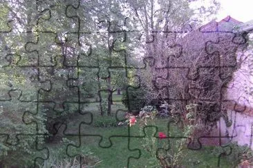 1 jigsaw puzzle