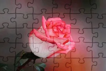 147 jigsaw puzzle