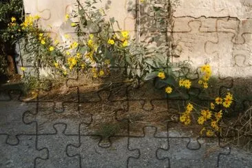 il muro jigsaw puzzle