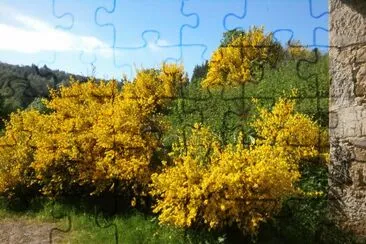 Belles images jigsaw puzzle