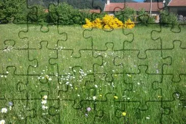 Prairie jigsaw puzzle