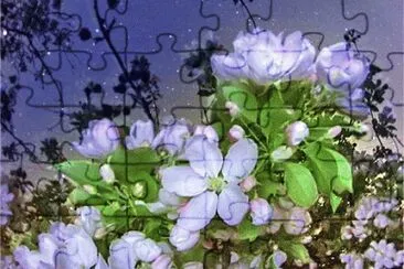 å‹•æ¤ç‰© jigsaw puzzle