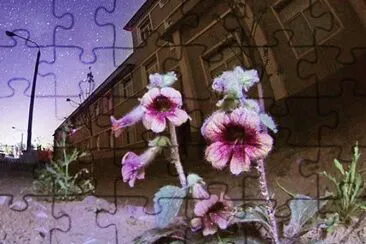 007æ¤ç‰© jigsaw puzzle