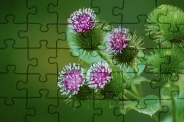 *** jigsaw puzzle