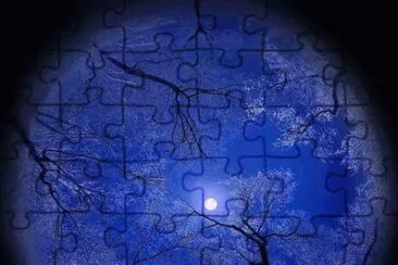 *** jigsaw puzzle