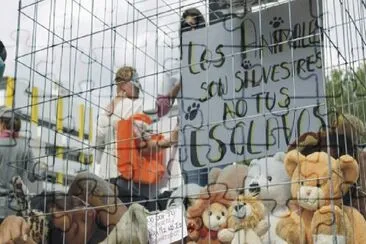 EN LOS CIRCOS SE VALEN LOS DE PELUCHE.