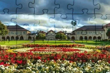 views jigsaw puzzle