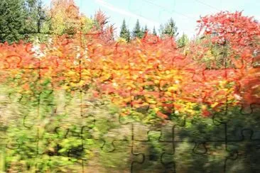 More fall Renous colours jigsaw puzzle