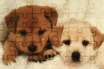 cÃ£ozinho jigsaw puzzle