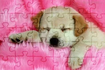 Fofo jigsaw puzzle