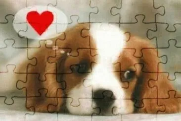 cÃ£ozinho jigsaw puzzle