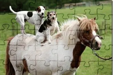 amigos jigsaw puzzle