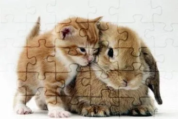 amigos jigsaw puzzle