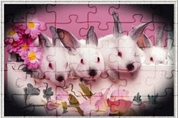 fofos jigsaw puzzle