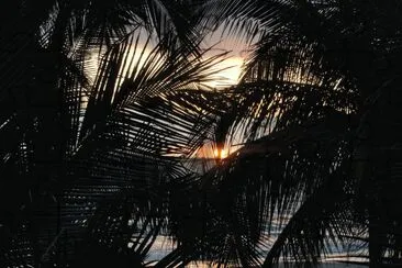 פאזל של Puerto Vallarta Sunset