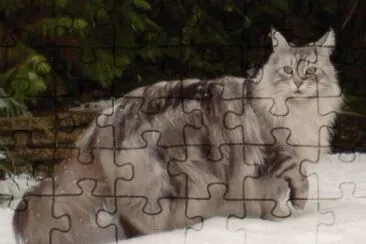 chat jigsaw puzzle