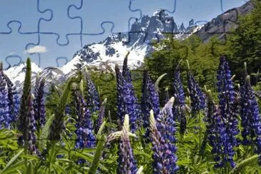 flora jigsaw puzzle