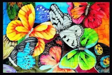 Butterfly Collage