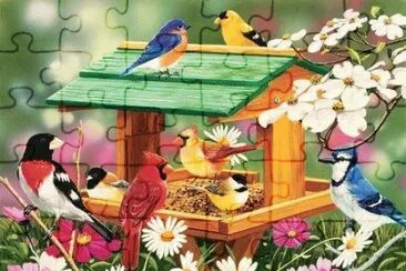 Birds jigsaw puzzle