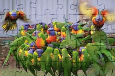 aves jigsaw puzzle