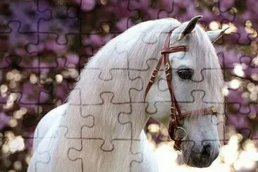 cavalo jigsaw puzzle