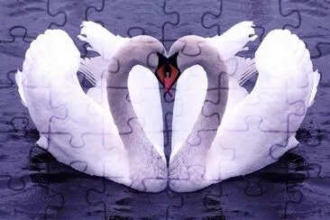 cisne jigsaw puzzle