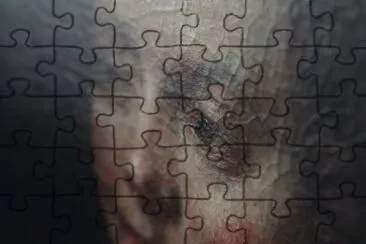 51 jigsaw puzzle