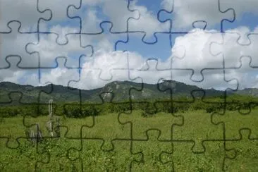 Paisagem Pernambucana - PE jigsaw puzzle