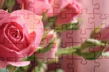 rosa jigsaw puzzle