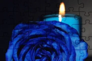 Rosa azul jigsaw puzzle