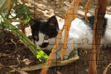 My cat friend jigsaw puzzle