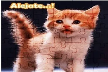 Muchos, muchos gatos jigsaw puzzle