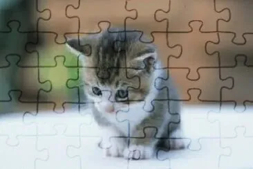 Lo mas lindo del mundo jigsaw puzzle