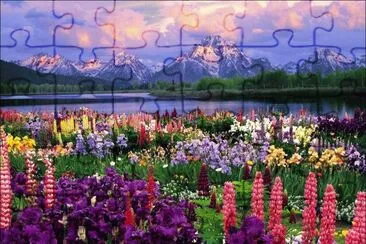 campo de flores jigsaw puzzle