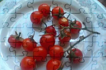 Cherry jigsaw puzzle