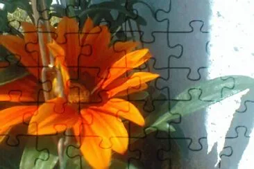 Flor jigsaw puzzle