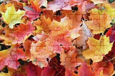 otoÃ±o jigsaw puzzle