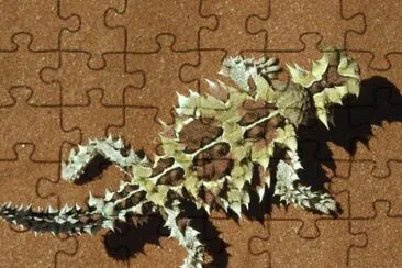 d jigsaw puzzle