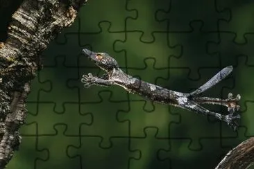 d jigsaw puzzle