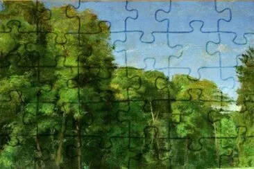 80 jigsaw puzzle